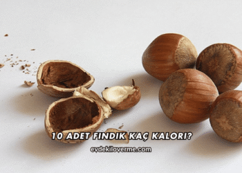 10 Adet Fındık Kaç Kalori?