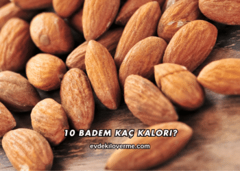10 Badem Kaç Kalori?