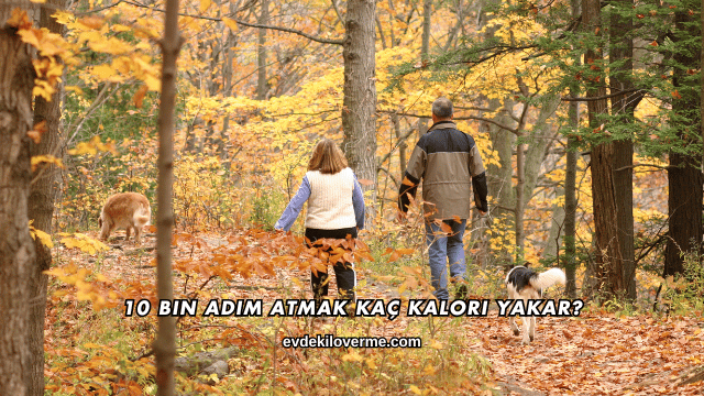 10 Bin Adım Atmak Kaç Kalori Yakar?