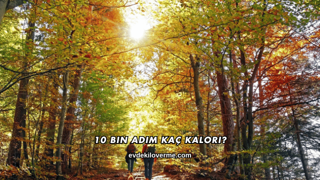 10 Bin Adım Kaç Kalori