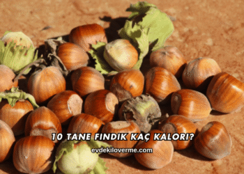 10 Tane Fındık Kaç Kalori?