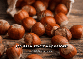 100 Gram Fındık Kaç Kalori?