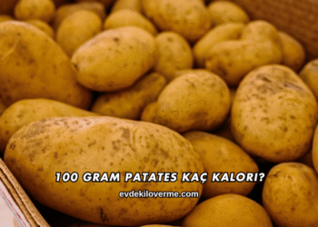 100 Gram Patates Kaç Kalori?