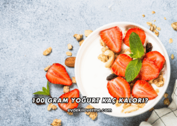100 Gram Yoğurt Kaç Kalori?