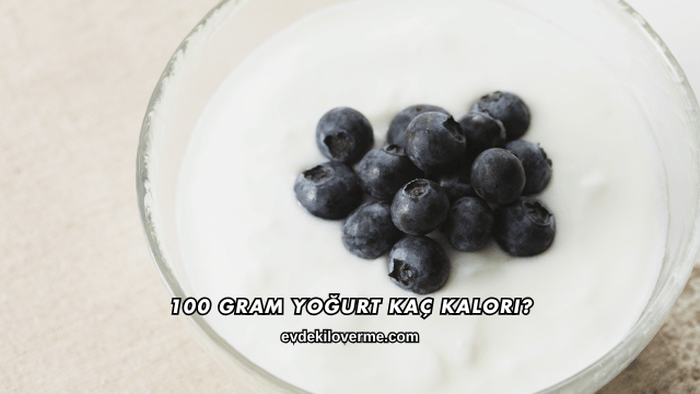 100 Gram Yoğurt Kaç Kalori?