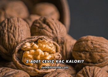2 Adet Ceviz Kaç Kalori?