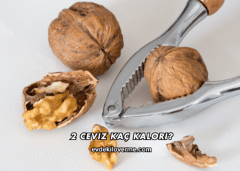 2 Ceviz Kaç Kalori?