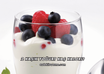 2 Kaşık Yoğurt Kaç Kalori?