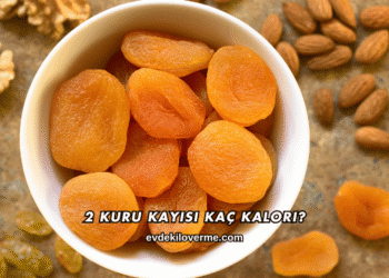 2 Kuru Kayısı Kaç Kalori?