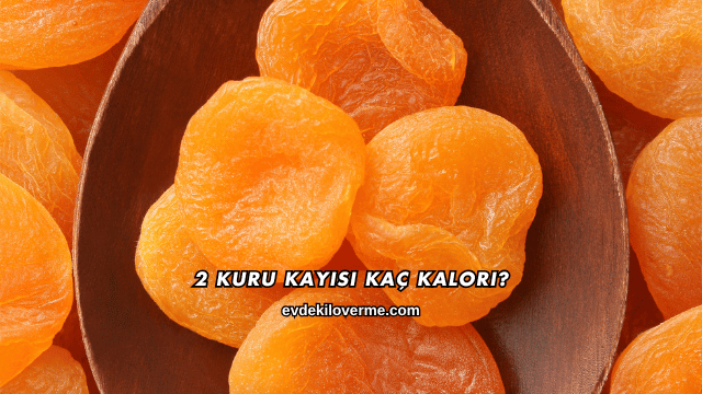 2 Kuru Kayısı Kaç Kalori?