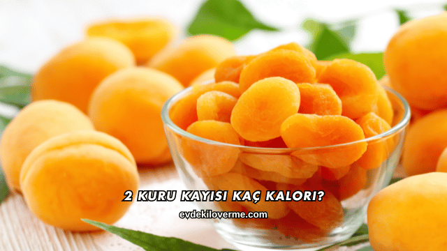 2 Kuru Kayısı Kaç Kalori?