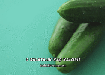 2 Salatalık Kaç Kalori?