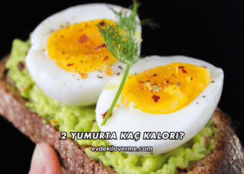 2 Yumurta Kaç Kalori?