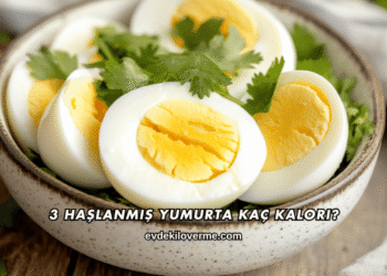 3 Haşlanmış Yumurta Kaç Kalori?