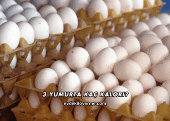 3 Yumurta Kaç Kalori?