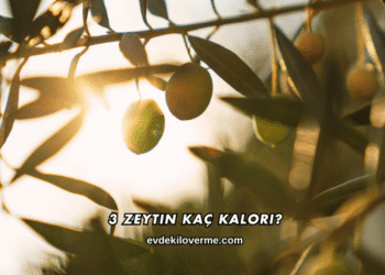 3 Zeytin Kaç Kalori?