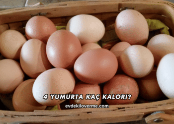 4 Yumurta Kaç Kalori?