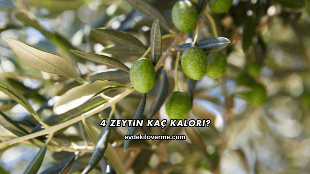 4 Zeytin Kaç Kalori?