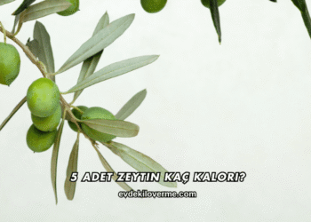 5 Adet Zeytin Kaç Kalori?
