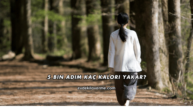 5 Bin Adım Kaç Kalori Yakar?