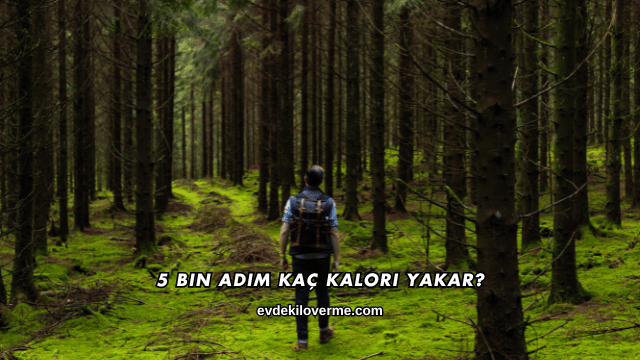 5 Bin Adım Kaç Kalori Yakar?