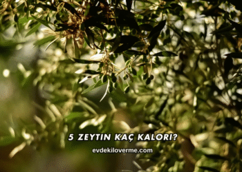 5 Zeytin Kaç Kalori?