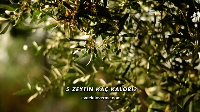 5 Zeytin Kaç Kalori?