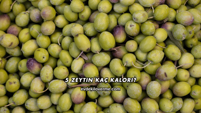5 Zeytin Kaç Kalori?