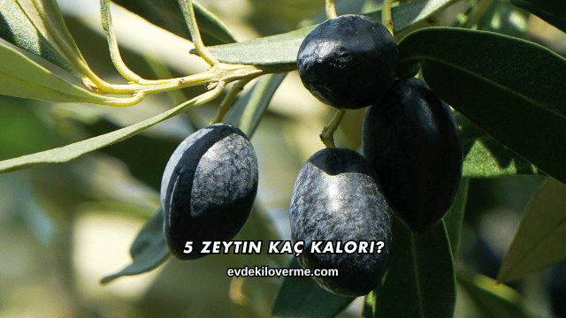 5 Zeytin Kaç Kalori?