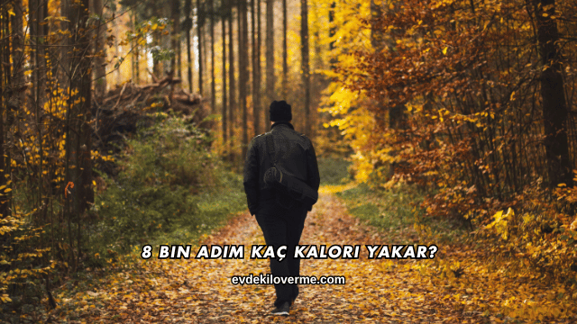 8 Bin Adım Kaç Kalori Yakar?