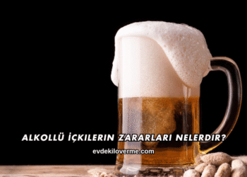 Alkollü İçkilerin Zararları Nelerdir?