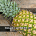Ananas Kilo Aldırır mı?