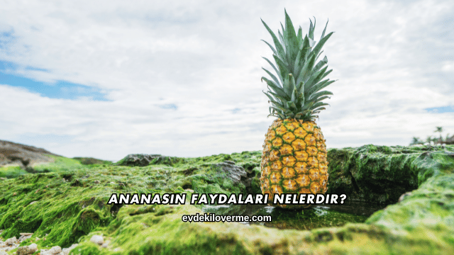 Ananasın Faydaları Nelerdir?