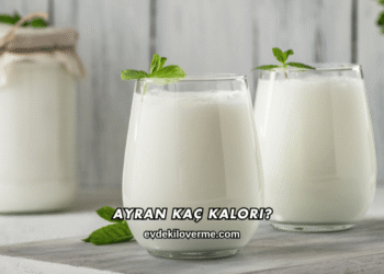 Ayran Kaç Kalori?
