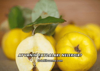Ayvanın Faydaları Nelerdir