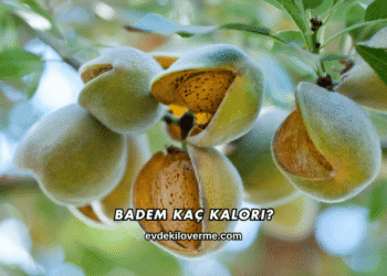 Badem Kaç Kalori?