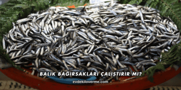 Balık Bağırsakları Çalıştırır mı?