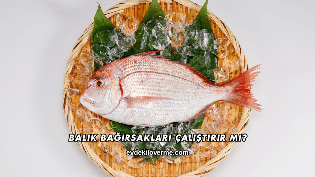 Balık Bağırsakları Çalıştırır mı?