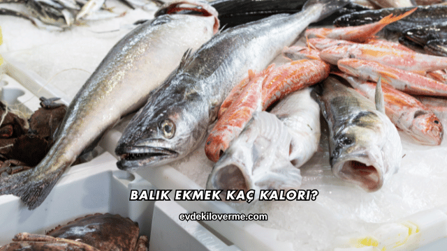 Balık Ekmek Kaç Kalori?