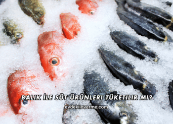 Balık İle Süt Ürünleri Tüketilir mi?
