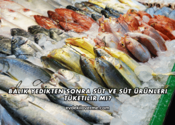 Balık Yedikten Sonra Süt ve Süt Ürünleri Tüketilir mi?