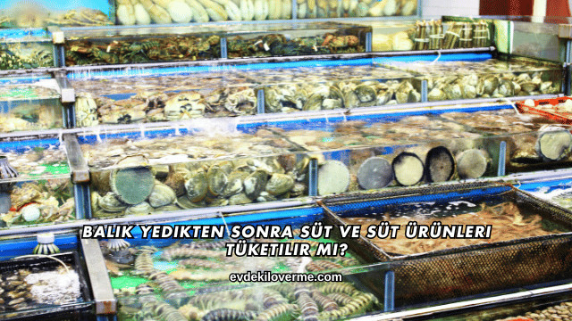 Balık Yedikten Sonra Süt ve Süt Ürünleri Tüketilir mi?