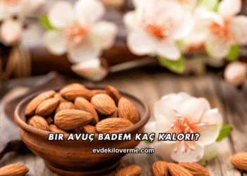 Bir Avuç Badem Kaç Kalori?