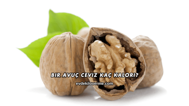 Bir Avuç Ceviz Kaç Kalori?