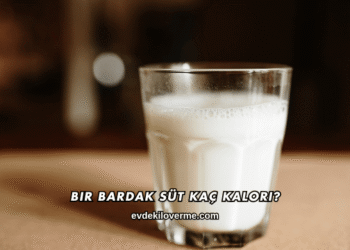 Bir Bardak Süt Kaç Kalori?
