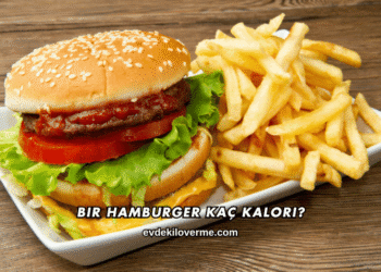 Bir Hamburger Kaç Kalori?