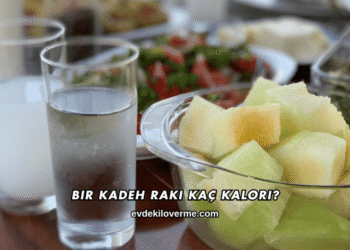 Bir Kadeh Rakı Kaç Kalori