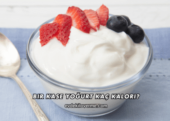 Bir Kase Yoğurt Kaç Kalori?