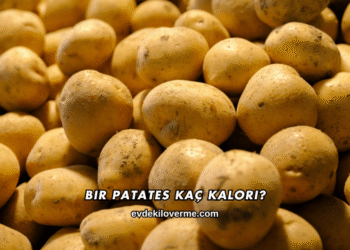 Bir Patates Kaç Kalori?