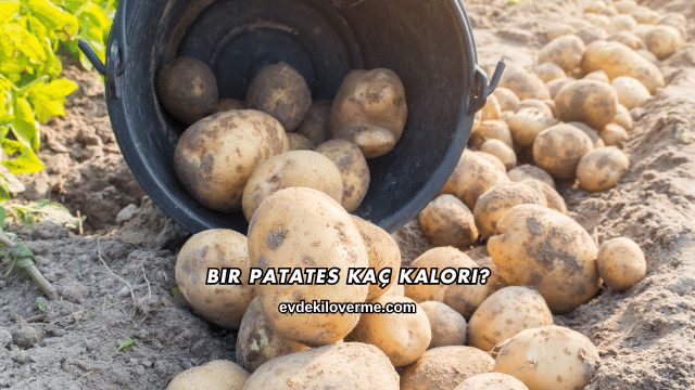 Bir Patates Kaç Kalori?